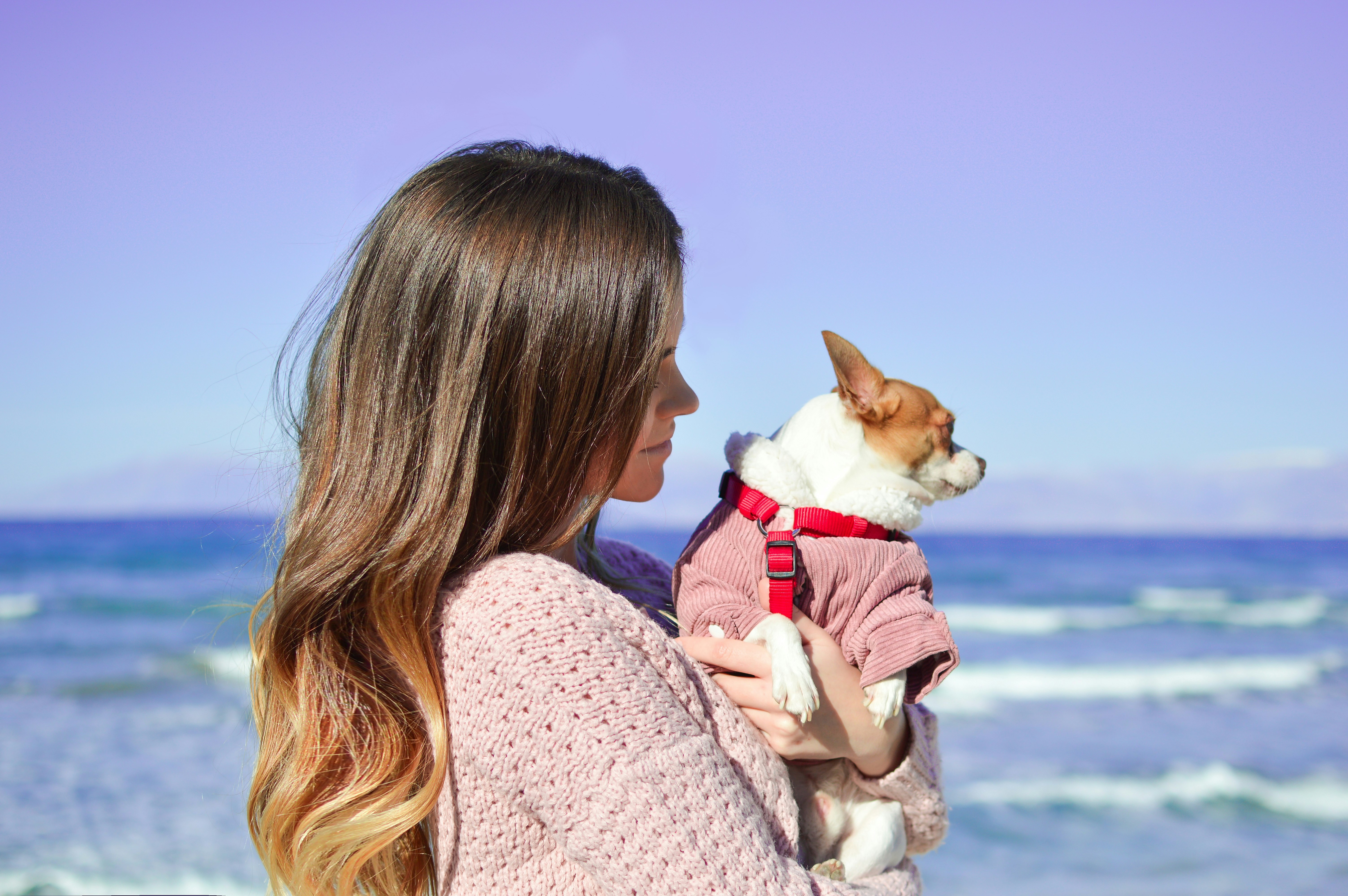 woman holding white dog on seashore